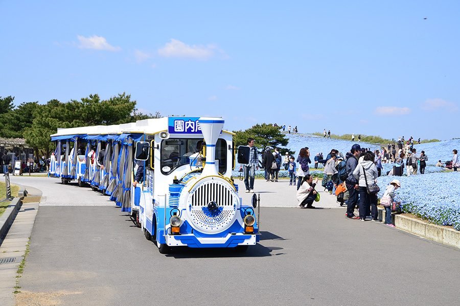 🏞️ 하스누마 해변공원 (Hasunuma Ocean Park) 이미지 4